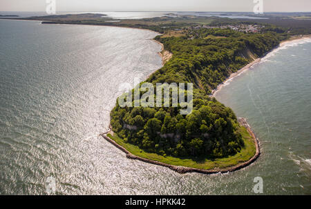 Göhren, Rügen, péninsule Mönchgut, gnies, côte de la mer Baltique, Poméranie occidentale, Basse-Saxe, Allemagne Banque D'Images