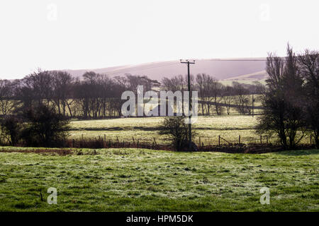 Frosty champ vert au premier plan, ferme au milieu, derrière des South Downs, la scène rurale Banque D'Images