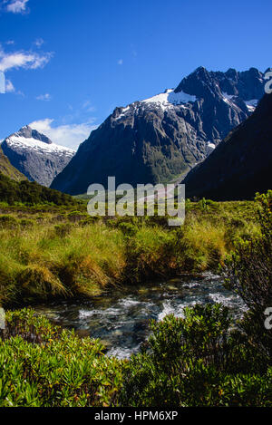 Vue sur la vallée et la rivière sur la route de Milford Sound Banque D'Images