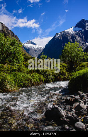 Vue sur la vallée et la rivière sur la route de Milford Sound Banque D'Images