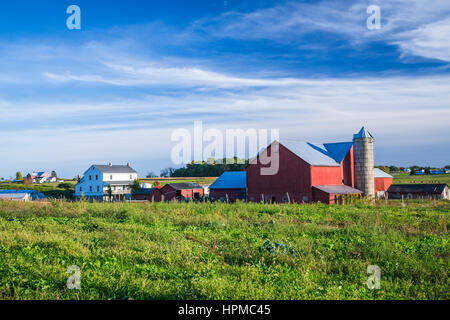 Un Amish farm dans la campagne près de Kidron, Ohio, USA. Banque D'Images