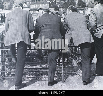 Les agriculteurs au marché du bétail, Welshpool Welshpool, Pays de Galles, 1970 Banque D'Images