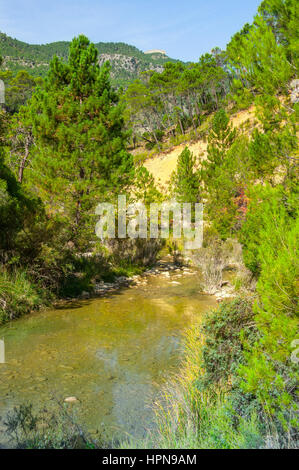 Randonnée à pied le long de la rivière Borosa dans le Parc Naturel Sierra de Cazorla, Andalousie, Espagne Banque D'Images