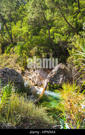 Randonnée à pied le long de la rivière Borosa dans le Parc Naturel Sierra de Cazorla, Andalousie, Espagne Banque D'Images