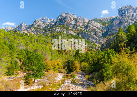 Et la rivière Borosa paysage de montagne dans le Parc Naturel Sierra de Cazorla, Andalousie, Espagne Banque D'Images
