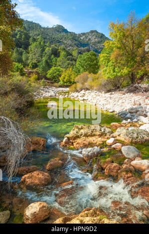 River Borosa dans le Parc Naturel Sierra de Cazorla, Andalousie, Espagne Banque D'Images