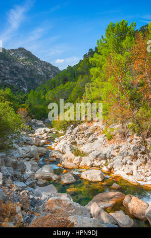 Randonnée à pied le long de la rivière Borosa dans le Parc Naturel Sierra de Cazorla, Andalousie, Espagne Banque D'Images