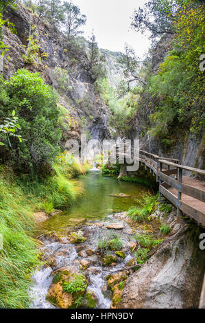 Randonnée à pied le long de la rivière Borosa dans le Parc Naturel Sierra de Cazorla, Andalousie, Espagne Banque D'Images