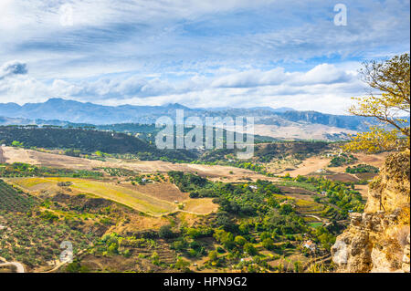 Vue panoramique de la Sierra de Grazalema de Ronda, province de Malaga, Andalousie, Espagne Banque D'Images