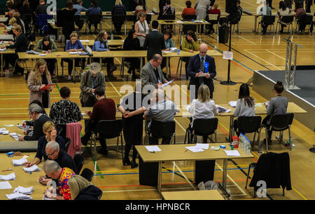 Le comptage a lieu à l'élection partielle Copeland au centre sportif Whitehaven à Cumbria. Banque D'Images