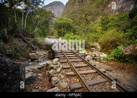 Voie de chemin de fer traversant la jungle et rivière Urubamba, Machu Picchu village connexion à la station hydroélectrique, principalement utilisé pour le tourisme et le fret fin. Banque D'Images