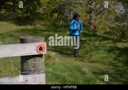 Lone Female Hiker marche sur sentier par un post en bois avec Waymarker pour le Moyen-Orient Highland Way dans les Highlands, Ecosse, Royaume-Uni. Banque D'Images