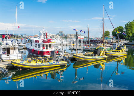 L'observation des baleines bateaux zodiac. Arrière-port, Victoria, Colombie-Britannique, Canada Banque D'Images