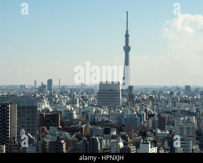 Vue aérienne de la Tokyo skyline dominé par le neofuturistic conception de la Tokyo Skytree. Banque D'Images