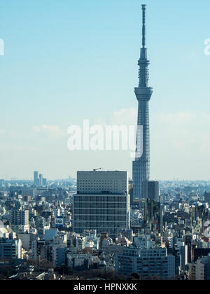 Vue aérienne de la Tokyo skyline dominé par le neofuturistic conception de la Tokyo Skytree. Banque D'Images