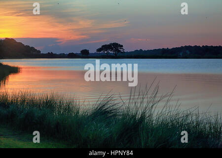 Lever de soleil sur l'étang sur belle Kiawah Island, Caroline du Sud. Un étang est entouré de marais et de chênes vivent. Banque D'Images
