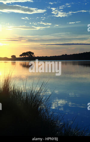 Lever de soleil sur l'étang sur belle Kiawah Island, Caroline du Sud. Un étang est entouré de marais et de chênes vivent. Banque D'Images