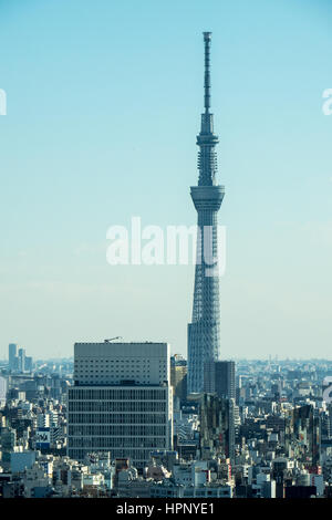 Vue aérienne de la Tokyo skyline dominé par le neofuturistic conception de la Tokyo Skytree. Banque D'Images