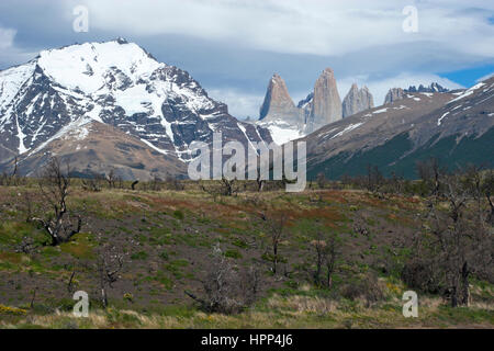 Zone brûlée du parc national Torres del Paine suite à un incendie de forêt déclenché accidentellement par un touriste, Patagonie, Chili Banque D'Images