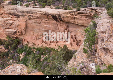 Ancienne falaise logements à la Mesa Verde National Park en Californie Banque D'Images