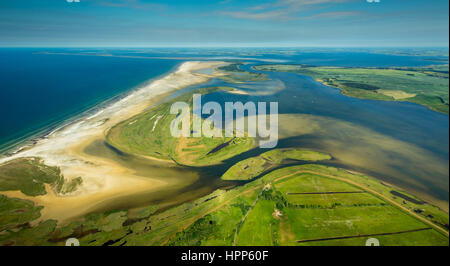 Bodden ou lagunes, réserve naturelle, Darß-Zingst Zingst, chaîne Bodden, Fischland-Zingst, côte de la mer Baltique Banque D'Images