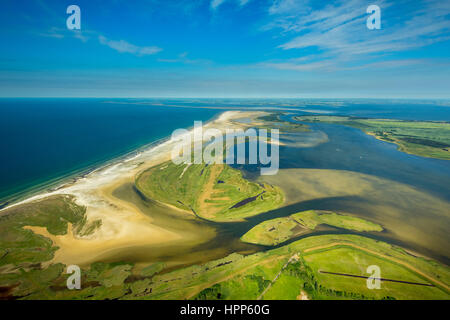 Bodden ou lagunes, réserve naturelle, Darß-Zingst Zingst, chaîne Bodden, Fischland-Zingst, côte de la mer Baltique Banque D'Images