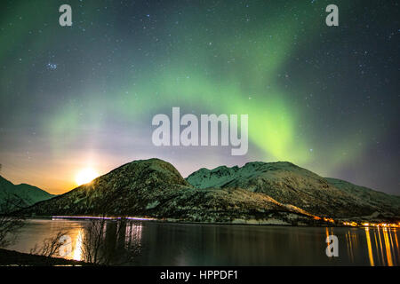 Aurore boréale sur les îles Lofoten, Norvège, Europe Banque D'Images