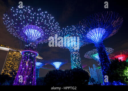 Supertrees en raison de les jardins de la baie au cours d'OCBC Jardin Rhapsody, spectacle de musique et de lumière. Banque D'Images