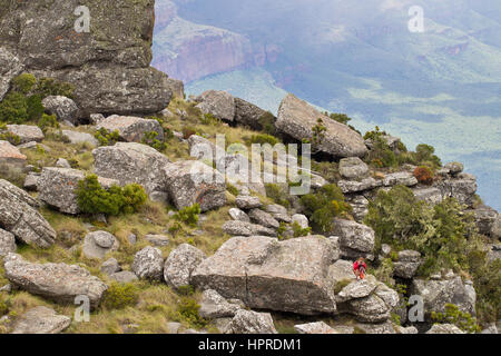 Un photographe met en place un trépied pour une photo dans le pittoresque paysage de montagne Mariepskop en Afrique du Sud. Banque D'Images