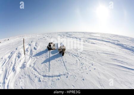 La construction d'un igloo sur la northpole Banque D'Images