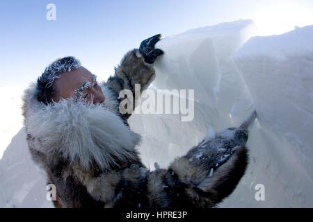 La construction d'un igloo sur la northpole Banque D'Images