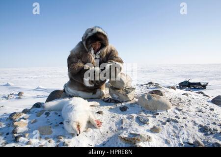 Inuits au Canada sont la chasse pour la fourrure Banque D'Images