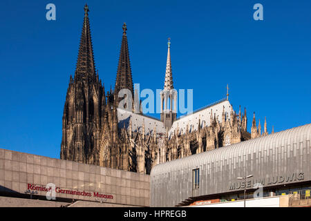 L'Europe, l'Allemagne, Cologne, Rhénanie du Nord-Westphalie, le musée romain-germanique et le Musée Ludwig, la cathédrale. Banque D'Images