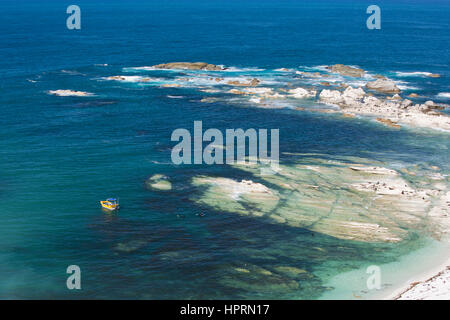 Kaikoura, Canterbury, Nouvelle-Zélande. Vue depuis la falaise de la péninsule de Kaikoura piétons au-dessus de la Baie des baleiniers, les visiteurs de nager avec les otaries à fourrure. Banque D'Images