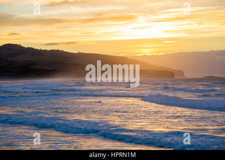 Dunedin, Otago, Nouvelle-Zélande. Surfer sur la pagaie pour monter les vagues de l'océan Pacifique au large de la plage de St Clair, le lever du soleil, lumière dorée reflétée dans l'eau. Banque D'Images