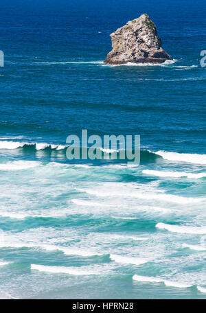 Dunedin, Otago, Nouvelle-Zélande. Vue sur l'océan Pacifique à l'îlot rocheux de Lion's Head, Phlébotome Bay, péninsule d'Otago. Banque D'Images