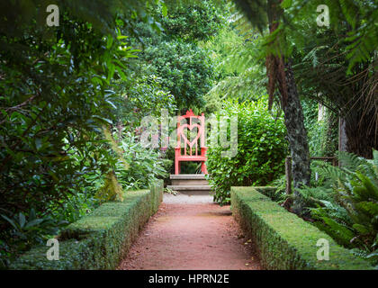 Dunedin, Otago, Nouvelle-Zélande. Voir sur le trône, une caractéristique de la forêt tropicale au Jardin du Château de Larnach, péninsule d'Otago. Banque D'Images