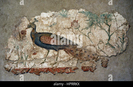 Période romaine. La peinture murale. 2ème-3ème siècle AD. Peacock. Symbole de l'éternité. Dans le pic de grenade, attribut de l'goddes Hera. Domus romaine. L'Espagne. Musée Archéologique National. Tarragone. La Catalogne, Espagne. Banque D'Images