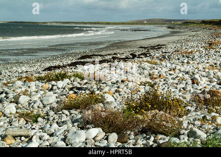 Plage sur South Uist, Outer Hebrides Banque D'Images