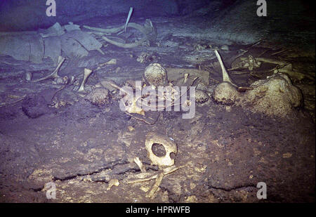 L'île de Sipadan est vingt milles au large de Bornéo Malaisien's côte nord-est. Il y a un système de grottes inondées sous lui, dans lequel se perdent et se noient les tortues Banque D'Images