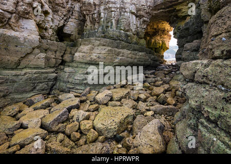 Arch Rock à Thornwick Thornwick nab, Bay, de Flamborough. Une belle côte sauvage dans Yorkshire du Nord. Banque D'Images