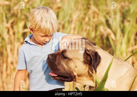 Petit garçon joue avec son gros chien. Banque D'Images