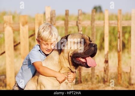 Petit garçon joue avec son gros chien. Banque D'Images