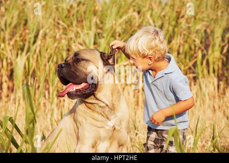 Petit garçon joue avec son gros chien. Banque D'Images