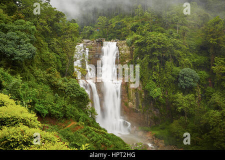 Cascade dans Forêt profonde près de Nuwara Eliya au Sri Lanka. Banque D'Images