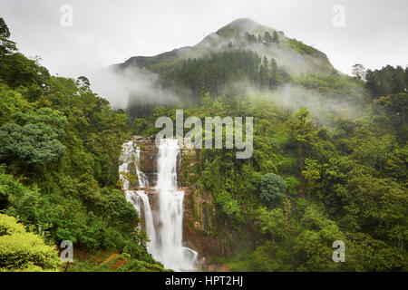 Cascade dans Forêt profonde près de Nuwara Eliya au Sri Lanka. Banque D'Images