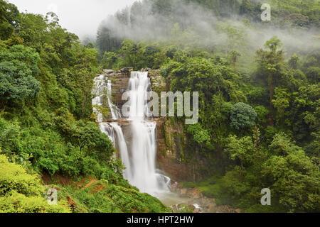 Cascade dans Forêt profonde près de Nuwara Eliya au Sri Lanka. Banque D'Images