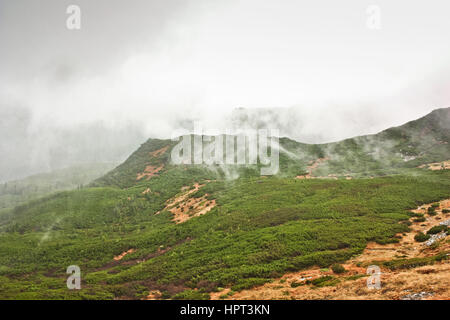 Green Hills dans la montagne, brouillard, pluie. Ciel dramatique. Mauvais temps dans les montagnes des Carpates, en Ukraine Banque D'Images