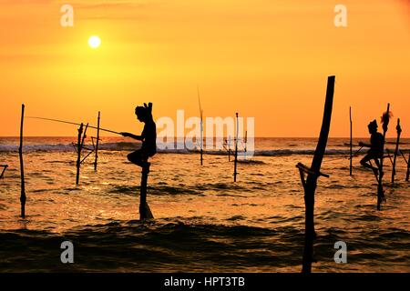 Silhouettes des pêcheurs traditionnels au coucher du soleil au Sri Lanka. Banque D'Images