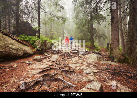 Les voyageurs de la randonnée à travers forêt profonde dans les montagnes - blurred motion Banque D'Images